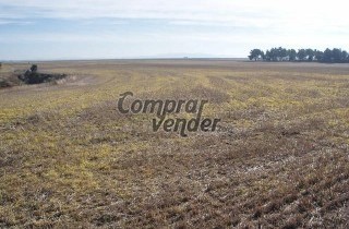 Venta Finca de Secano en Pajares de Adaja (Ávila)