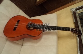 guitarra