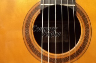 guitarra