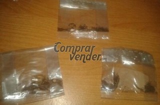 semillas de tabaco virginia natural