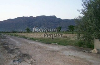 Terreno en Santomera (Murcia) de 5.018 m²