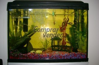 acuario hailea 60 L negro