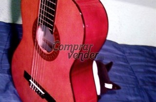 GUITARRA CAMBRA C542