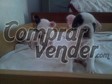 Imagen extra