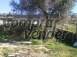 Imagen extra